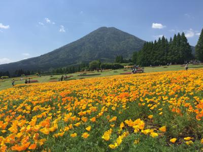 宮崎trip～すべてがパワースポット！