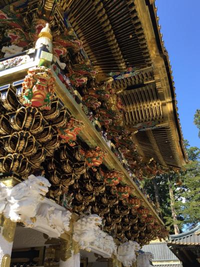 日光東照宮の平成大改修が進んでいた