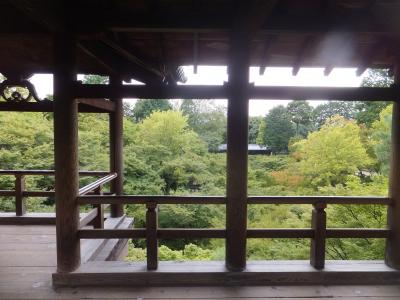 2016 秋の関西遠征は初吹田スタジアムへ【その１】まずは京都へ東福寺散策