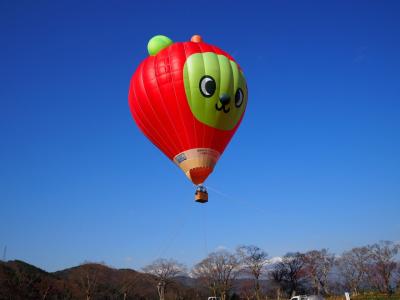 あ～～～無情・無念・残念！！夢に終わった「アルクマ熱気球体験搭乗！」2017信州高遠城址公園さくら祭り