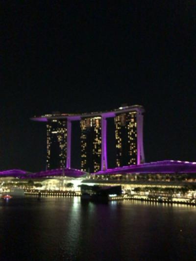 今年もJALに乗って行きましょうシンガポール2-2