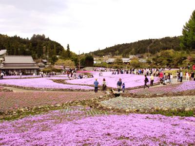 天空の城・竹田城跡と三田の花の絨毯散策の旅　２－2『三田花の絨毯』・『フェリーおおさかII』編