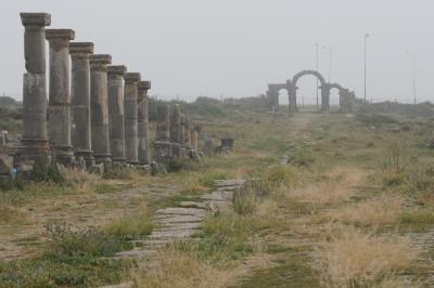 モロッコ最終日。フェズを早朝に出て世界遺産のローマ遺跡、ボルビリス（Volubilis）を歩く