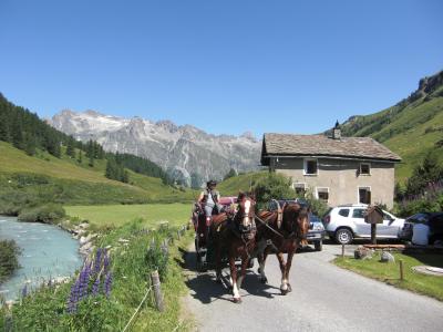 シルス・マリアからフェックス谷まで、往路は馬車、復路はハイキングでエンガディン地方の自然を満喫♪