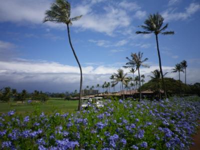ハワイ　癒しのマウイ島　3日目～6日目（帰国）カアナパリ　ビーチウォーク・パイアの街歩き
