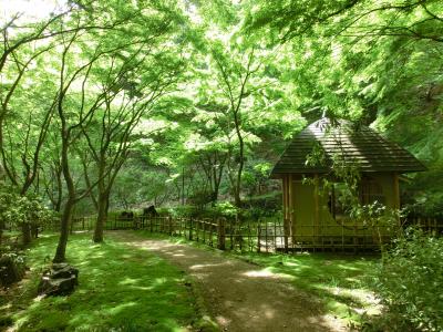 七沢森林公園でハイキング♪～２０１７～