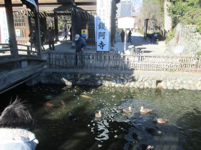 2015初詣鑁阿寺