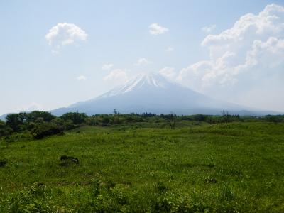 富士五湖２０１４初夏