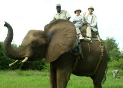 南アフリカへ？何しに？（２）アフリカ象に乗ったり、ビクトリアの滝にびっくりしたり.…