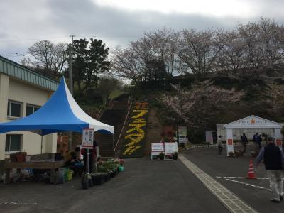 長島と牛深ハイヤ祭りの旅