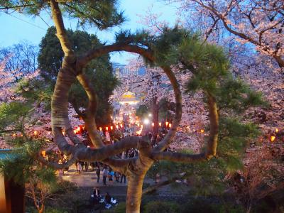 青春１８きっぷの旅　２０１７年春　〈１０〉 京都を楽しんだ旅の最後は上野公園へ