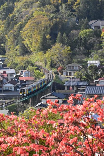 山一面が赤く染まる塙町のつつじ 2017（福島）