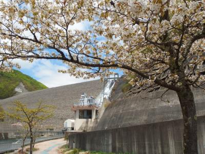 奈良俣（ならまた）ダム放水見学