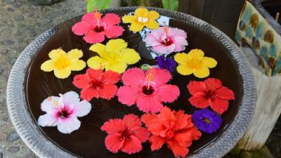 セレブリティー・ミレニアム　４日目石垣島編