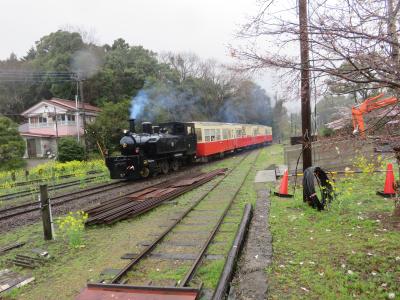 小湊鉄道　トロッコ列車に乗ってみよう♪ルンルン