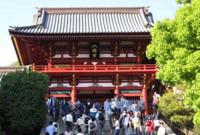 2017春、神奈川と千葉の寺社(4/14)：5月5日(4)：鶴岡八幡宮(1)：江の島から鎌倉へ