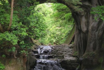 2017春、神奈川と千葉の寺社(13/14)：5月6日(6）：濃溝の滝：日本寺から濃溝の滝へ