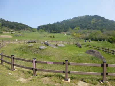 2017春　韓国 - ２　コチャン（高敞）その１　世界遺産コインドル（支石墓）