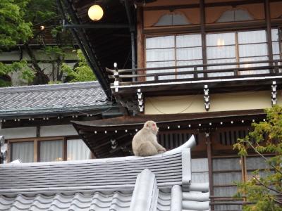 昔懐かし湯めぐり天国～渋温泉