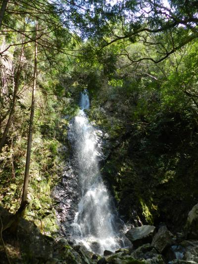 大塔川上流にかかる段瀑『宮の瀬の滝』◆2016年3月・熊野＆南紀の滝めぐり《その９》