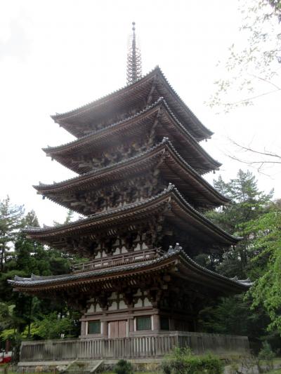 京都の旅2017　醍醐寺、南禅寺金地院、隨心院