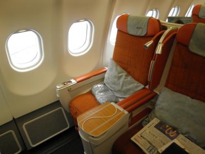 2010年　ポーランド旅行　⑨　アエロフロート575　（16AUG2010　SU575　SVO-NRT)　ビジネスクラス搭乗記