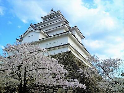 [会津]お城/飯盛山の桜