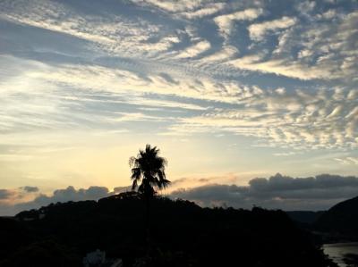 初秋の伊豆下田・温泉ツアー。