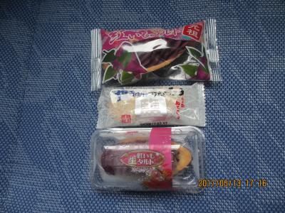 かけ足で巡る初沖縄 3/9（万座毛編）