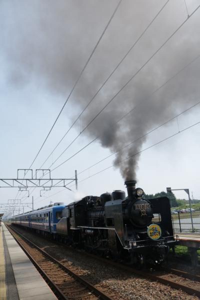 いつもは乗り鉄なのに　ＳＬ北びわこ号を撮り鉄する♪