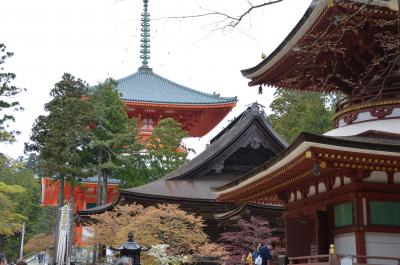 龍神に関する旅行記 ブログ フォートラベル 和歌山県