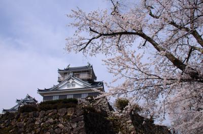 越前の春を旅する【２】～清水湧く越前大野～