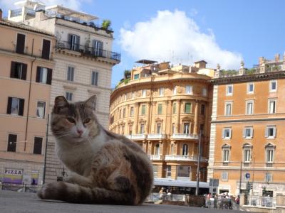 イタリア旅行記5日目&amp;最終日　　猫の楽園