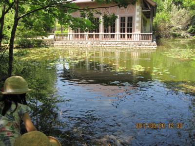 新緑の伊豆旅 修善寺→湯ヶ島温泉「あせび野」→河津七滝→河津バガテル公園