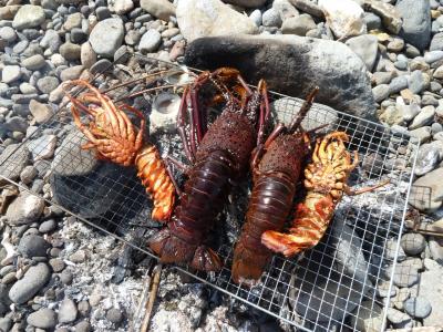 GW☆恒例の磯遊び（子供）とBBQ