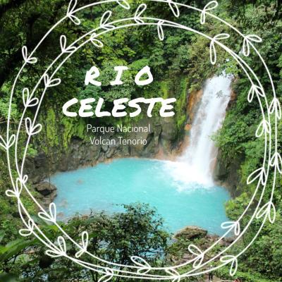 コスタリカ旅行 Day7 世界一美しい滝リオ・セレステ