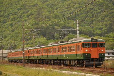 １１５系湘南色電車を撮りに行って来ました