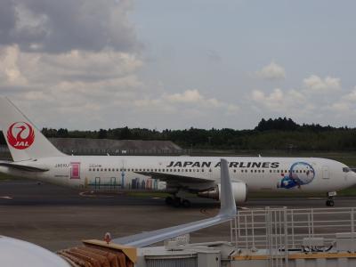 JL809便787機材にて成田から台湾へ(B型肝炎ウィルス予防接種２回目)