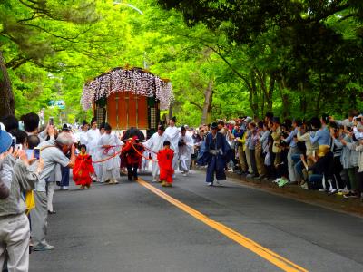 新緑の賀茂街道を厳かに牛車が進む　－５月の京都の祭り Part 1－