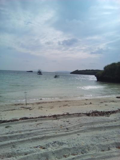 石垣島ダイビングひとり旅 5月