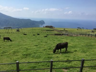 羽田から55分の大自然　東京都八丈島