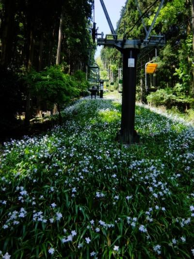 湖北への旅 vol.3。──「湖北随一の景勝地・賤ヶ岳」