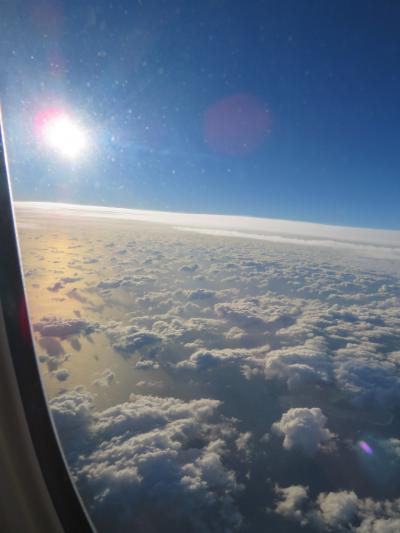 石垣島まつりとビーチめぐり（羽田～那覇～石垣島5泊6日1日目）