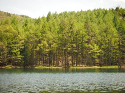 日帰りでさっくりと森林浴（御射鹿池など）