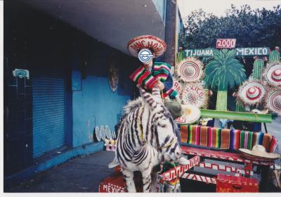 アメリカ旅行備忘録-メキシコ編-