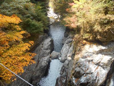 みたらい渓谷紅葉ウォーキングと洞川温泉の旅