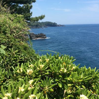 伊豆高原　　大室山→きらの里→城ヶ崎海岸ハイキング