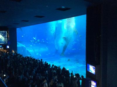 2017年ＧＷは、「はじめての沖縄3泊4日」