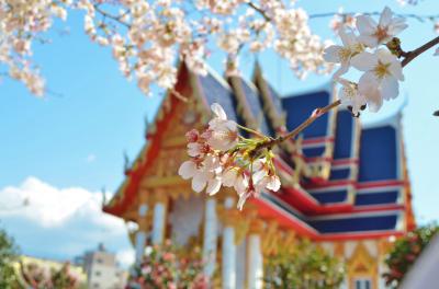 成田から名古屋まで日帰り自転車の旅
