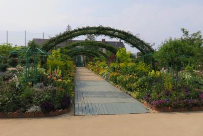 2017春、蒲郡と浜松の花巡り(10/16)：浜松(5)：浜名湖ガーデンパーク(5)：躑躅、石楠花